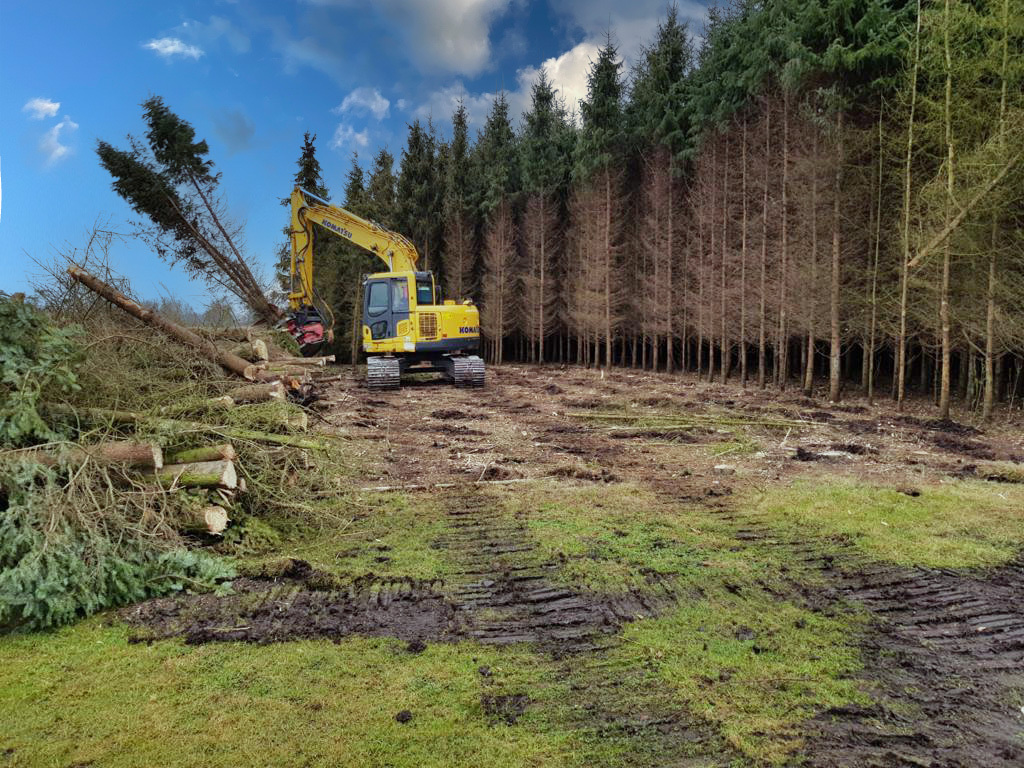 Ufkes Greentec - Лесозаготовительная техника - Год: 2018 undefined: фото 1