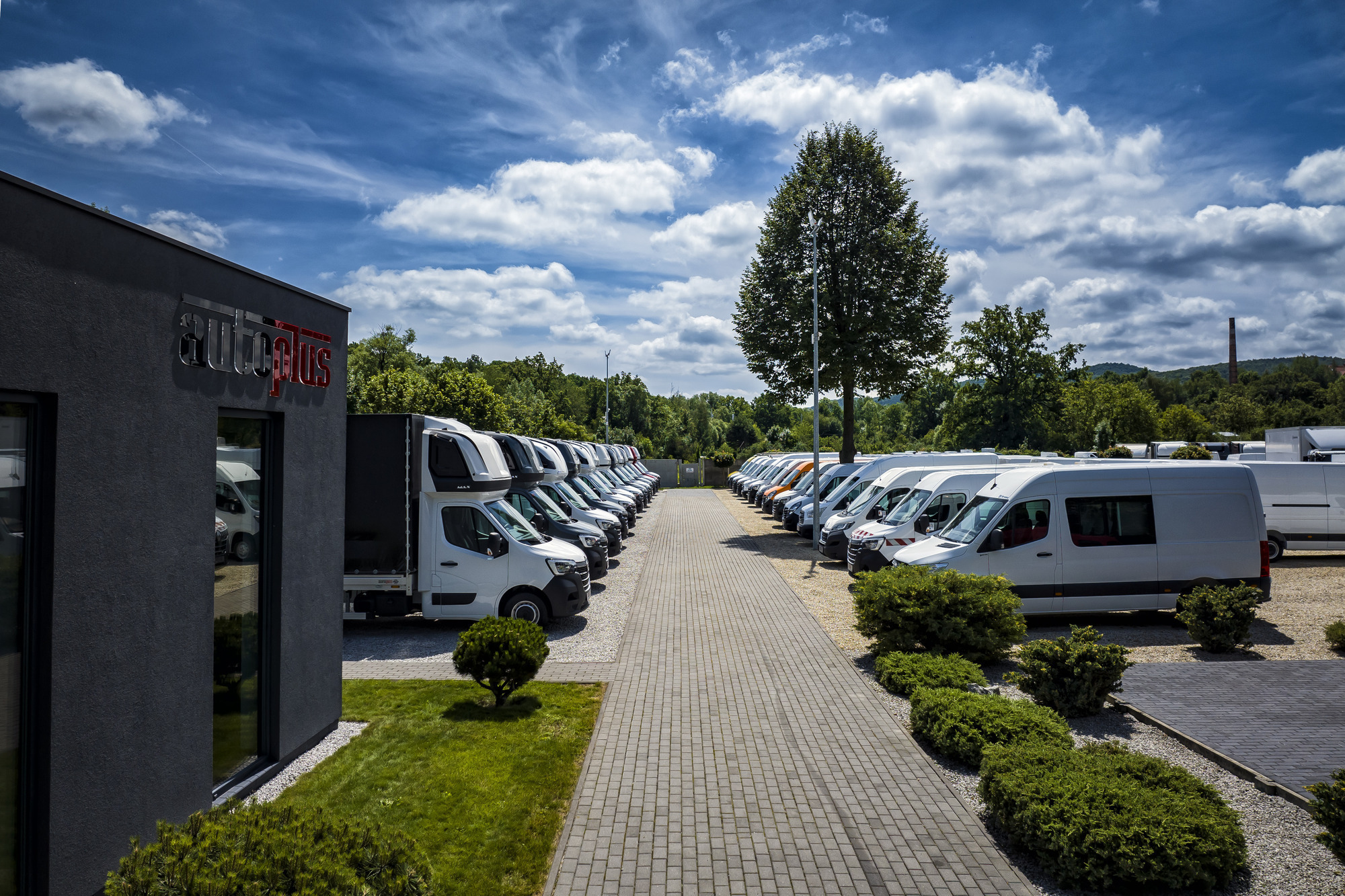 AUTO-PLUS DEALER undefined: фото 3