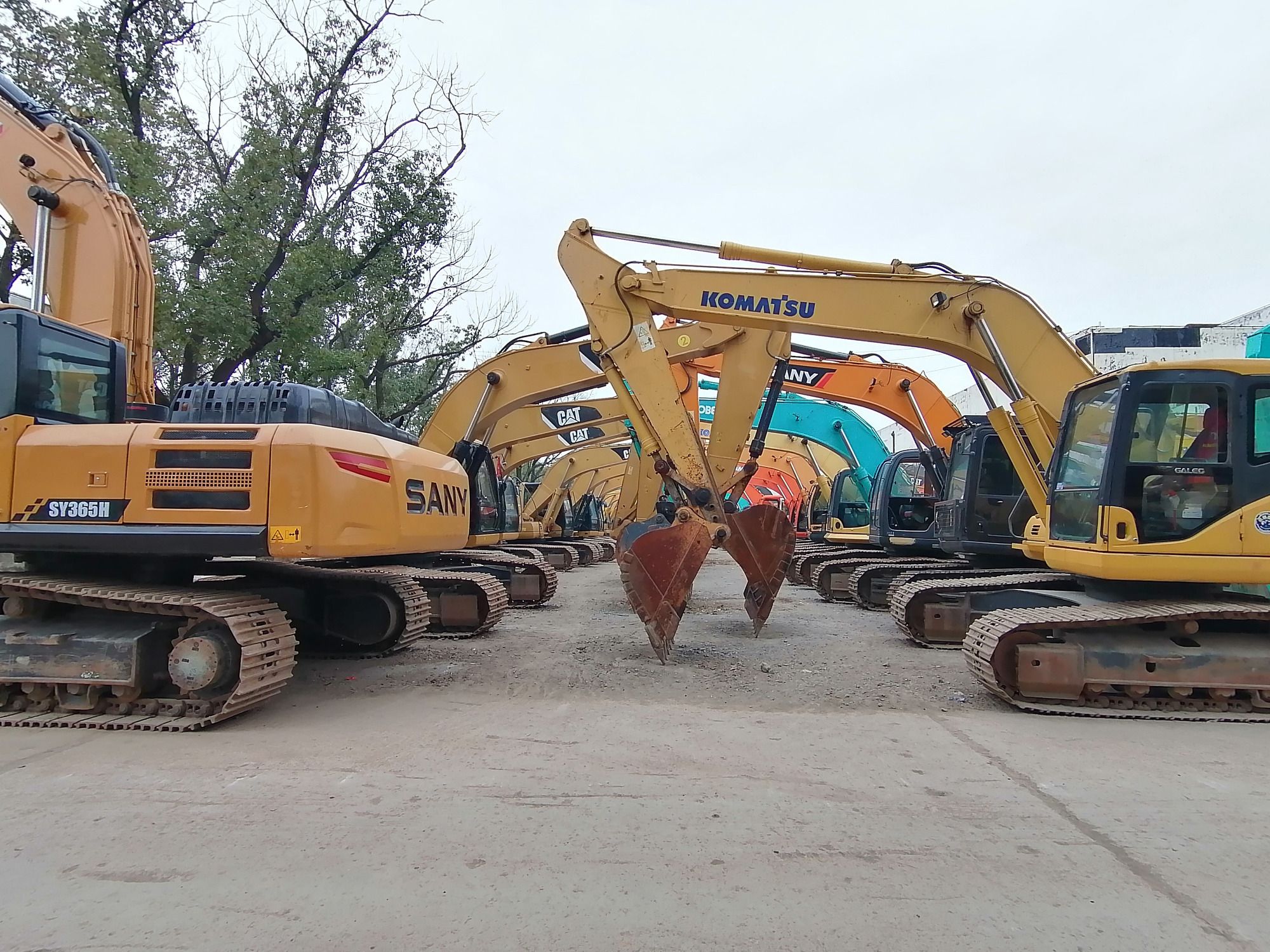 Qingdao Higher Weight Trade Co. LTD undefined: фото 6