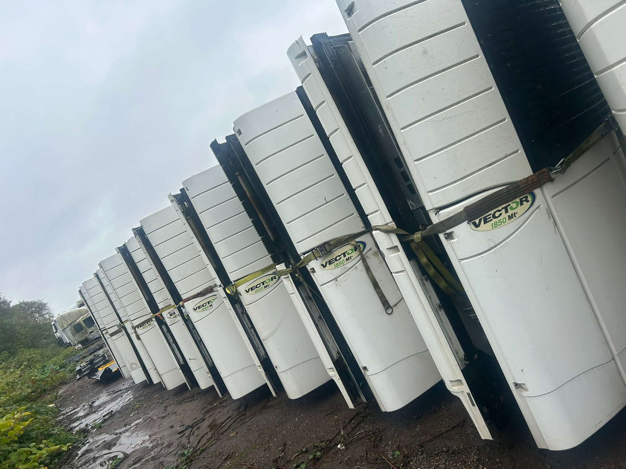 SI Meditalk Limited undefined: фото 16