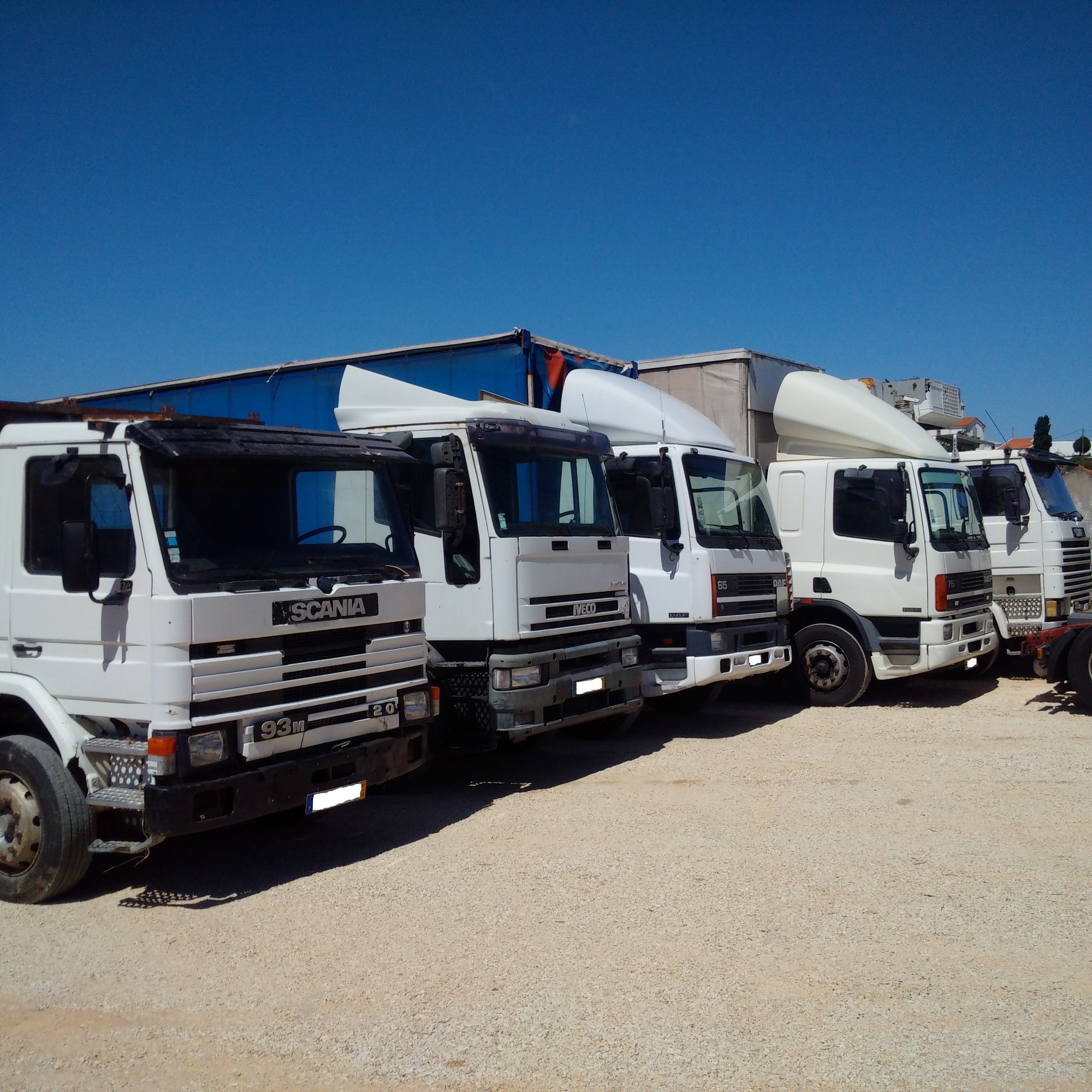 Britannia Export Consultants Limited undefined: фото 29