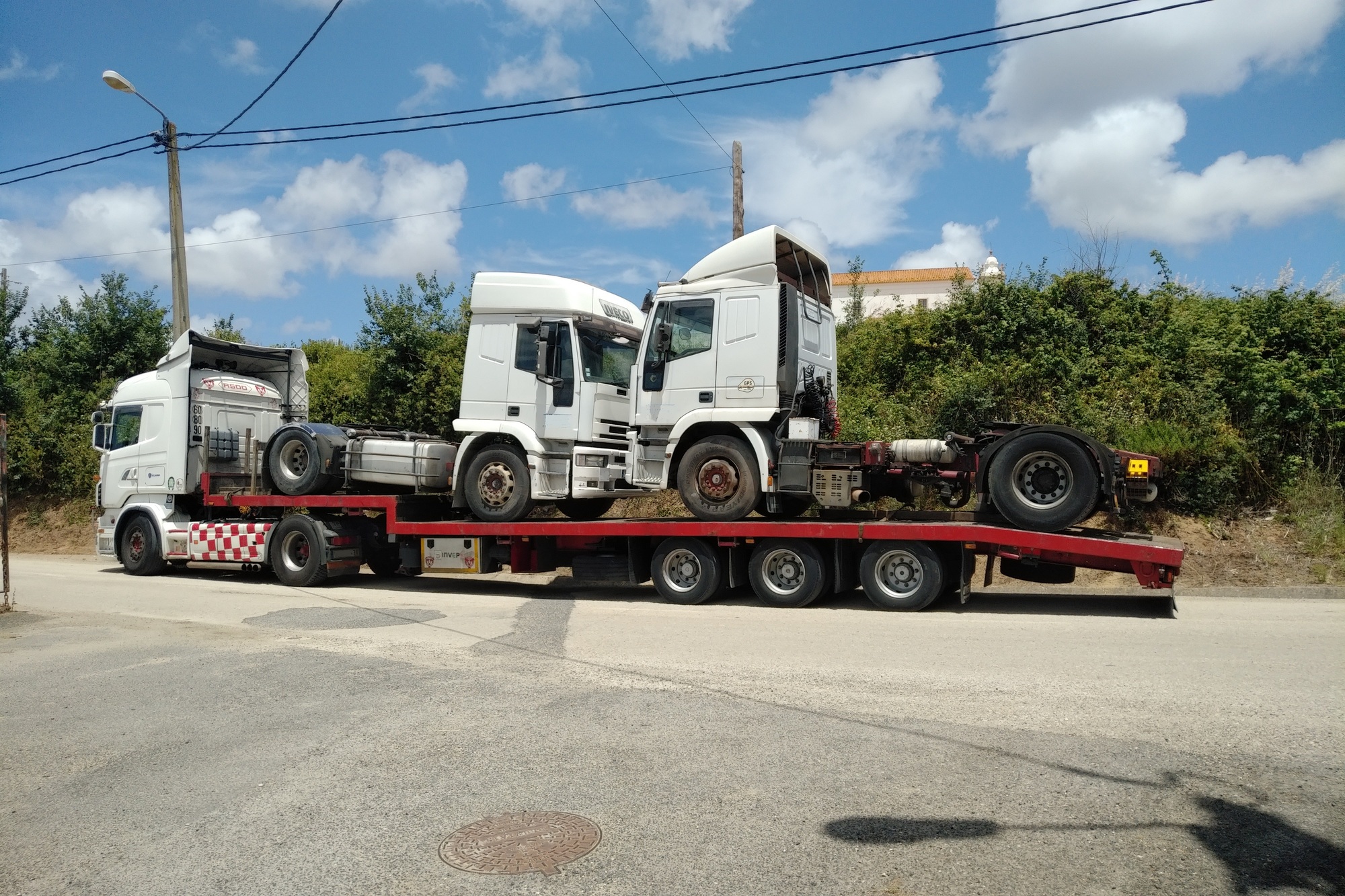 Britannia Export Consultants Limited undefined: фото 4