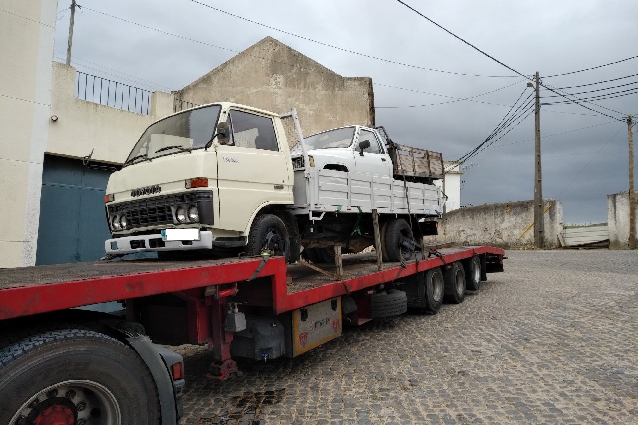 Britannia Export Consultants Limited undefined: фото 13