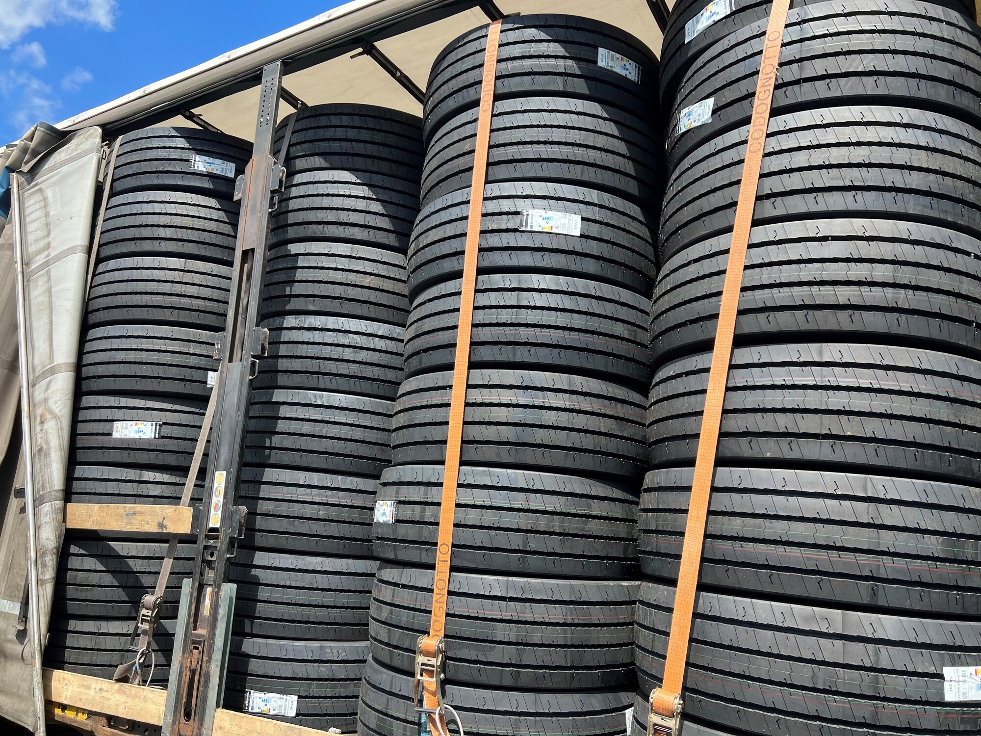 BAS Tyres undefined: фото 6