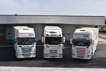 TPS DEMENAGEMENTS GROS