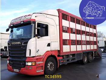 Грузовик для перевозки животных SCANIA R 500