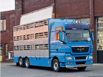 Грузовик для перевозки животных MAN TGX 26.440