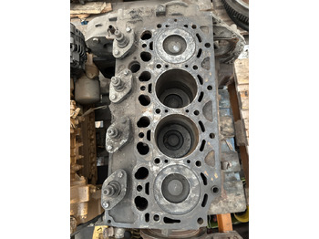 Блок цилиндров для Сельскохозяйственной техники Deutz Fahr Merlo 04289542 10670424 Blok Silnika BF4M2012 TCD 2012 L04 4V: фото 5