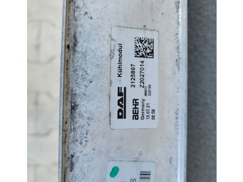 Интеркулер для Грузовиков INTERCOOLER DAF XF 106 ORYGINAŁ 2021R 2125897: фото 3 Интеркулер для Грузовиков INTERCOOLER DAF XF 106 ORYGINAŁ 2021R 2125897: фото 3