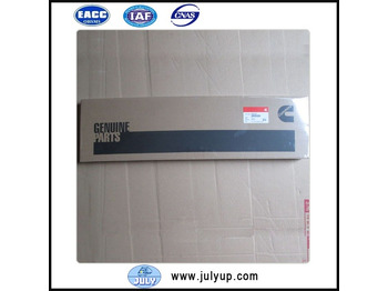 Прокладка двигателя CUMMINS