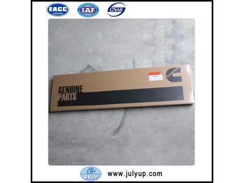 Прокладка двигателя CUMMINS