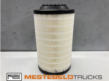 Система впуска DAF