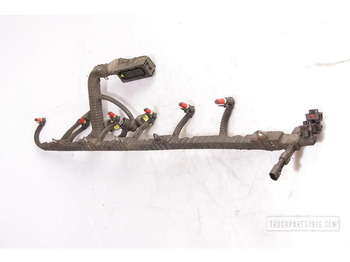 Кабели/ Провода DAF