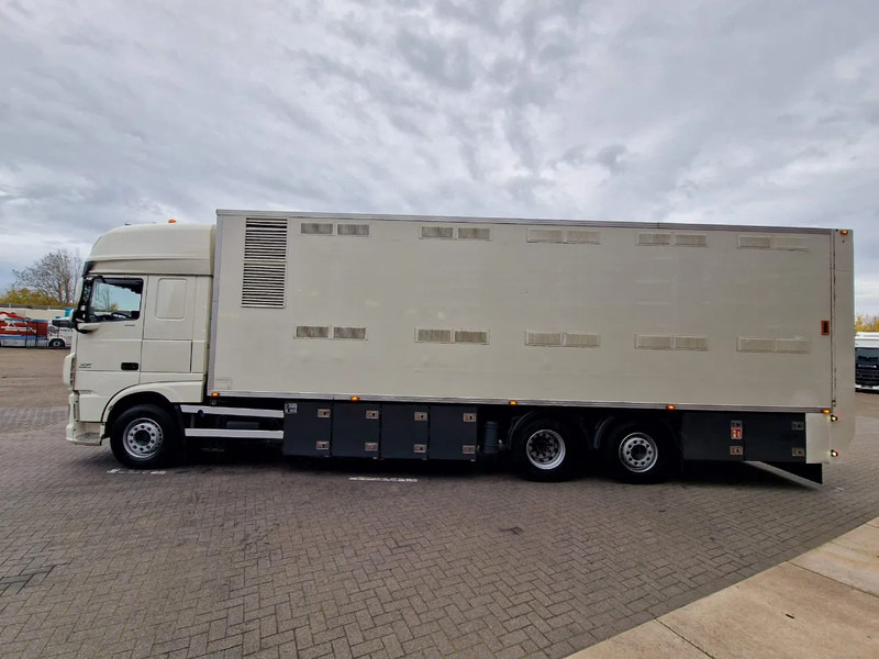 DAF XF 440 SuperSpaceCab 6x2*4 - 2 deck Closed Livestock - 40M2 - Filtersystem - Грузовик для перевозки животных: фото 4 DAF XF 440 SuperSpaceCab 6x2*4 - 2 deck Closed Livestock - 40M2 - Filtersystem - Грузовик для перевозки животных: фото 4