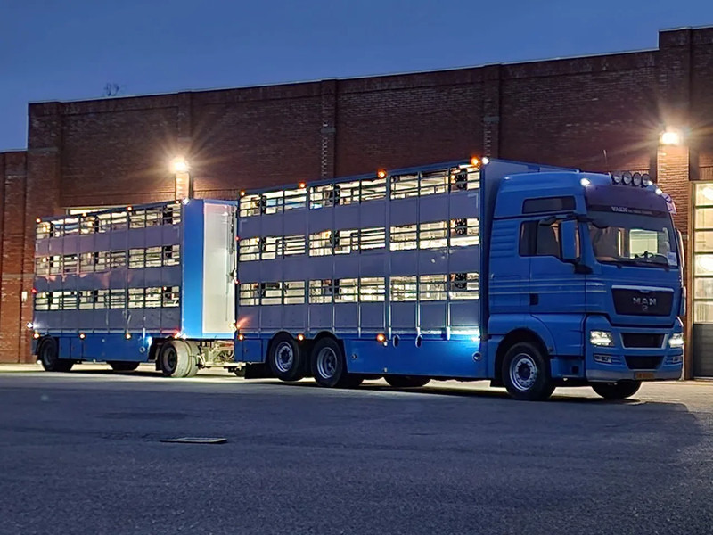MAN TGX 26.440 6x2*4 - 3 deck Livestock - Water & Ventilation + Jumbo/Bekkers 3 deck trailer - Грузовик для перевозки животных: фото 2 MAN TGX 26.440 6x2*4 - 3 deck Livestock - Water & Ventilation + Jumbo/Bekkers 3 deck trailer - Грузовик для перевозки животных: фото 2