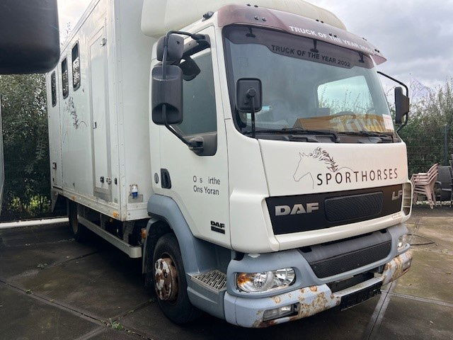 DAF LF 180 FA45.180 LF - Грузовик с закрытым кузовом: фото 2 DAF LF 180 FA45.180 LF - Грузовик с закрытым кузовом: фото 2