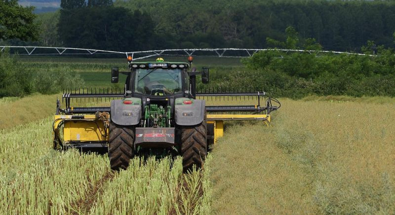 Honey Bee ST 25 - BANDSCHWADMÄHWERK - Жатка зерновая: фото 1 Honey Bee ST 25 - BANDSCHWADMÄHWERK - Жатка зерновая: фото 1