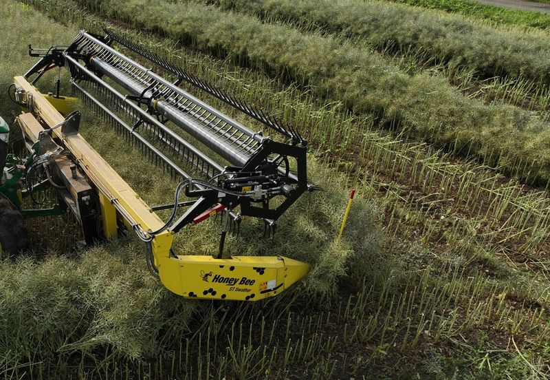 Honey Bee ST 30 - BANDSCHWADMÄHWERK - Жатка зерновая: фото 3 Honey Bee ST 30 - BANDSCHWADMÄHWERK - Жатка зерновая: фото 3