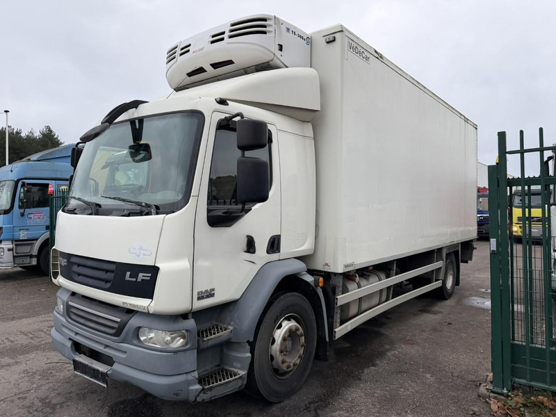 DAF LF 55.300 - 19T FRIGO THERMOKING TS-300e - TAILLIFT - BOX 6m45 x 2m49 x 2m49 - EURO 5 - A/C - BE TRUCK - Рефрижератор: фото 3 DAF LF 55.300 - 19T FRIGO THERMOKING TS-300e - TAILLIFT - BOX 6m45 x 2m49 x 2m49 - EURO 5 - A/C - BE TRUCK - Рефрижератор: фото 3