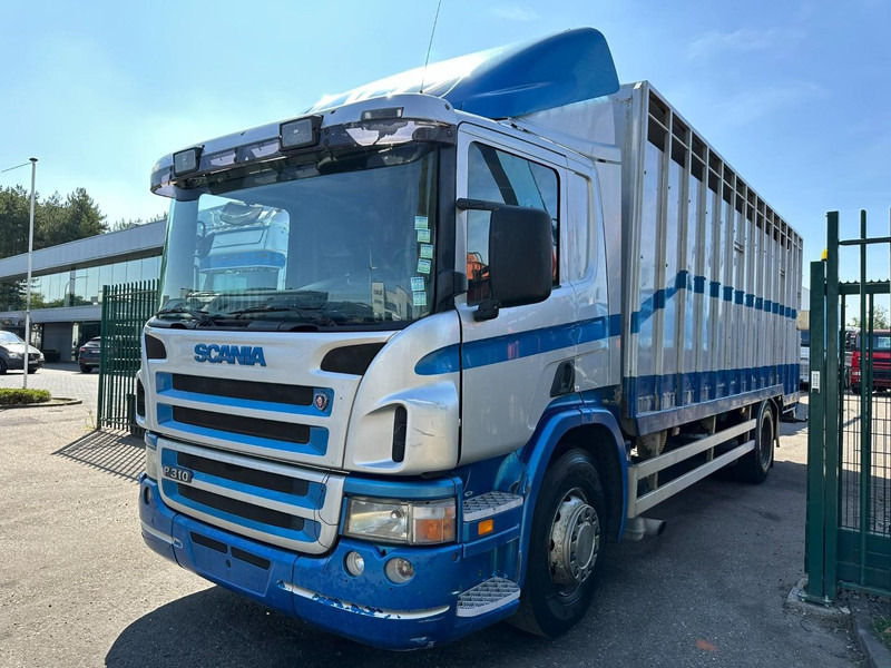 Scania P310 4x2 LIVESTOCK / VEEWAGEN / TIERTRANSPORT / BETAILLERE - ALU BOX 7m - MANUAL - A/C - BELGIAN TRUCK - Грузовик для перевозки животных: фото 3 Scania P310 4x2 LIVESTOCK / VEEWAGEN / TIERTRANSPORT / BETAILLERE - ALU BOX 7m - MANUAL - A/C - BELGIAN TRUCK - Грузовик для перевозки животных: фото 3