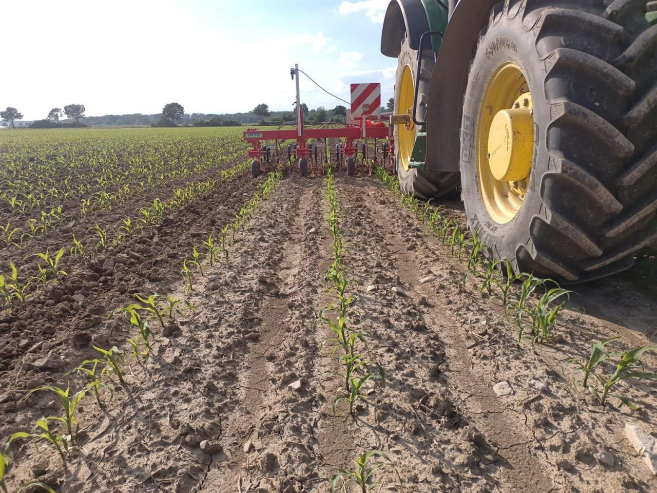 Firestone 460/85R42 480/70R30 - Шина: фото 5 Firestone 460/85R42 480/70R30 - Шина: фото 5