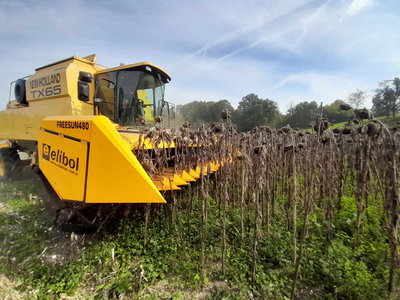 ELİBOL FREESUN 480 ROW INDEPENDENT SUNFLOWER HEADER - Жатка для подсолнечника: фото 4 ELİBOL FREESUN 480 ROW INDEPENDENT SUNFLOWER HEADER - Жатка для подсолнечника: фото 4
