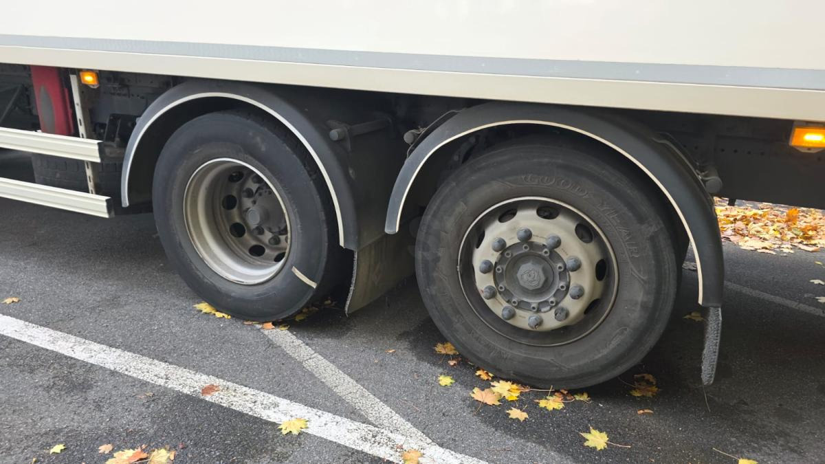 Рефрижератор Scania P 320: фото 6 Рефрижератор Scania P 320: фото 6