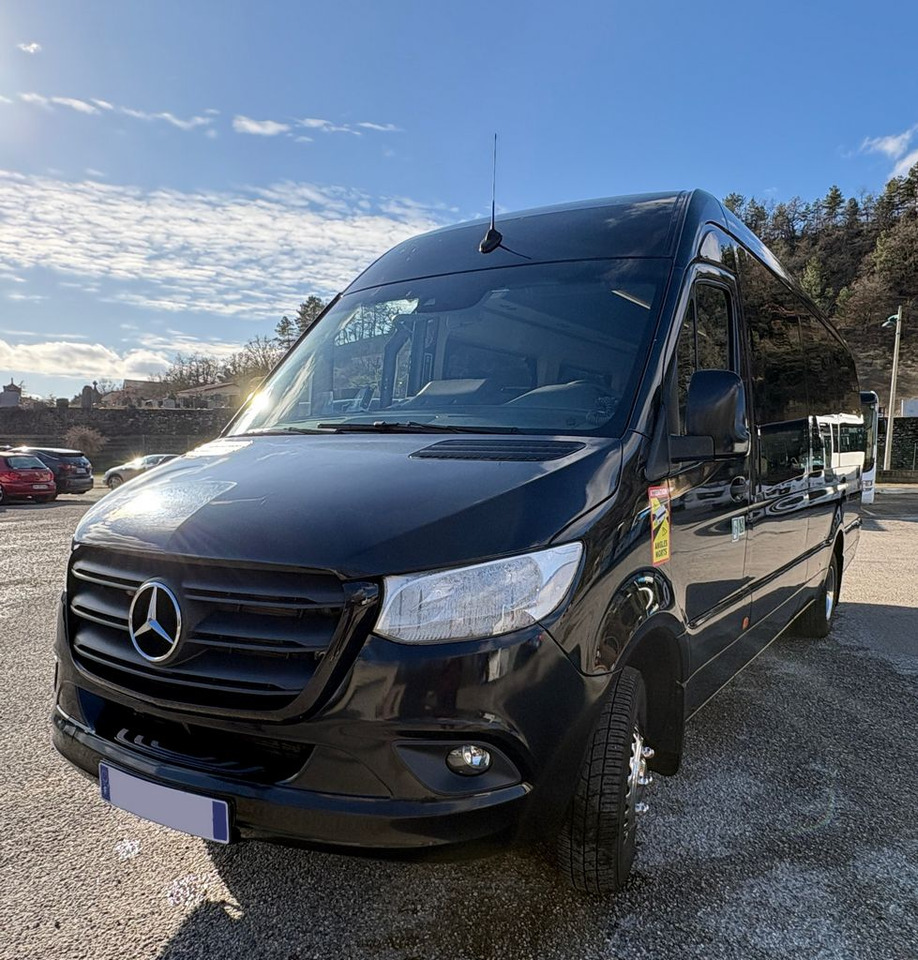 MB 519 SPRINTER TATOO - Микроавтобус, Пассажирский фургон: фото 1 MB 519 SPRINTER TATOO - Микроавтобус, Пассажирский фургон: фото 1