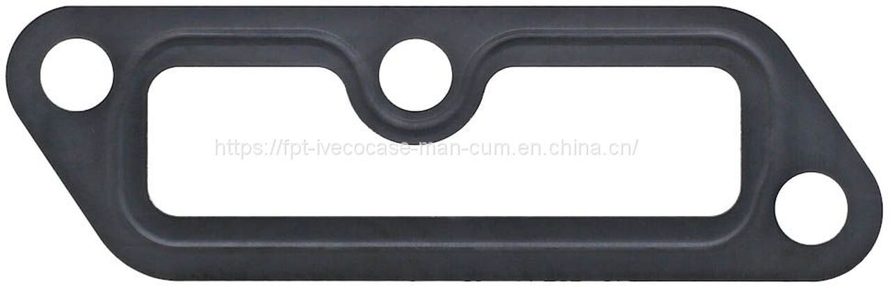 MAN D0836 Gasket 06904-0044 - Прокладка двигателя: фото 1 MAN D0836 Gasket 06904-0044 - Прокладка двигателя: фото 1