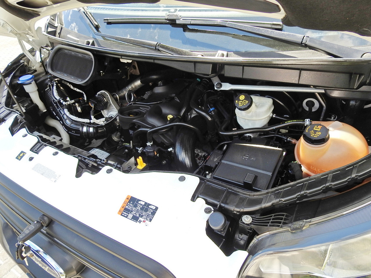 Фургон-рефрижератор FORD TRANSIT REGRIGERATOR BOX 0*C POWER SUPPLY 230V CRUISE CONTROL AIR CONDITIONING TWIN WHEELS 170HP: фото 28 Фургон-рефрижератор FORD TRANSIT REGRIGERATOR BOX 0*C POWER SUPPLY 230V CRUISE CONTROL AIR CONDITIONING TWIN WHEELS 170HP: фото 28