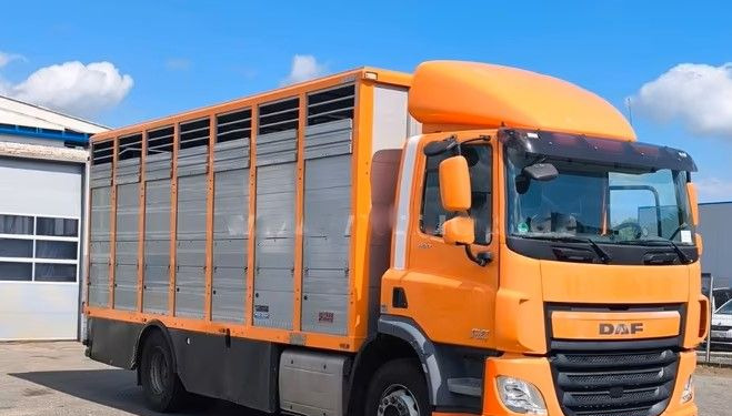 DAF CF 400 Menke Einstock | Transport zwierząt jednopoziomowy | 2 kratownice do bydła| Retarder | Euro 6 - Грузовик для перевозки животных: фото 1 DAF CF 400 Menke Einstock | Transport zwierząt jednopoziomowy | 2 kratownice do bydła| Retarder | Euro 6 - Грузовик для перевозки животных: фото 1