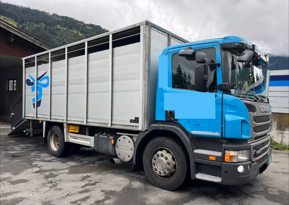 Scania P280 4x2 – Pojazd do przewozu zwierząt VIEHFAHRZEUG / jednopoziomowy – 171.000 km!! – Euro 5 - Грузовик для перевозки животных: фото 2 Scania P280 4x2 – Pojazd do przewozu zwierząt VIEHFAHRZEUG / jednopoziomowy – 171.000 km!! – Euro 5 - Грузовик для перевозки животных: фото 2