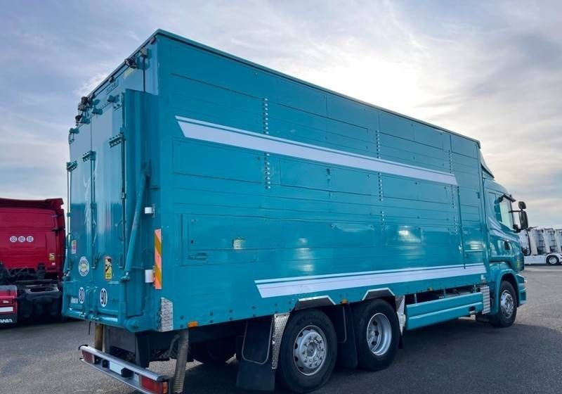 Scania R380 / 6x2 / Pezzaioli / 2-poziomowa zabudowa do przewozu zwierząt / Euro 3 / oś podnoszona / podnoszony dach - Грузовик для перевозки животных: фото 2 Scania R380 / 6x2 / Pezzaioli / 2-poziomowa zabudowa do przewozu zwierząt / Euro 3 / oś podnoszona / podnoszony dach - Грузовик для перевозки животных: фото 2