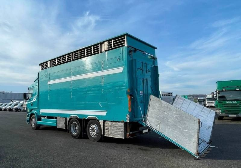 Scania R380 / 6x2 / Pezzaioli / 2-poziomowa zabudowa do przewozu zwierząt / Euro 3 / oś podnoszona / podnoszony dach - Грузовик для перевозки животных: фото 3 Scania R380 / 6x2 / Pezzaioli / 2-poziomowa zabudowa do przewozu zwierząt / Euro 3 / oś podnoszona / podnoszony dach - Грузовик для перевозки животных: фото 3