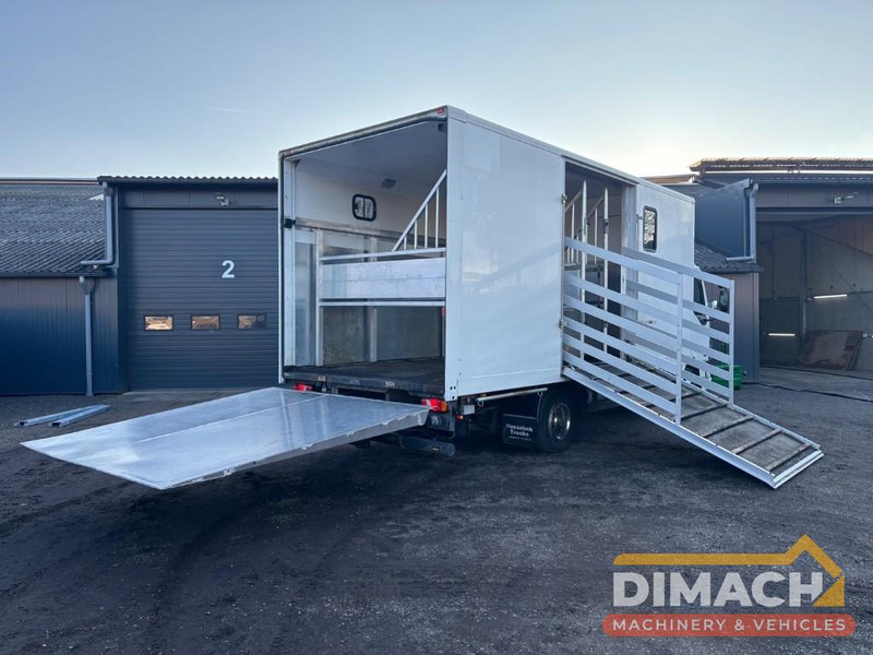 DAF FA LF45.150 4 paards, laadlift. Horsetruck NL truck - Коневоз: фото 2 DAF FA LF45.150 4 paards, laadlift. Horsetruck NL truck - Коневоз: фото 2