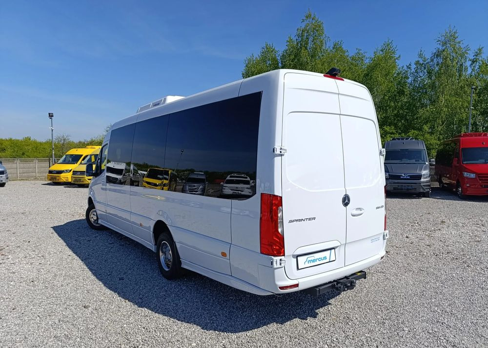 Новый Микроавтобус, Пассажирский фургон Mercedes-Benz Sprinter 519: фото 8 Новый Микроавтобус, Пассажирский фургон Mercedes-Benz Sprinter 519: фото 8