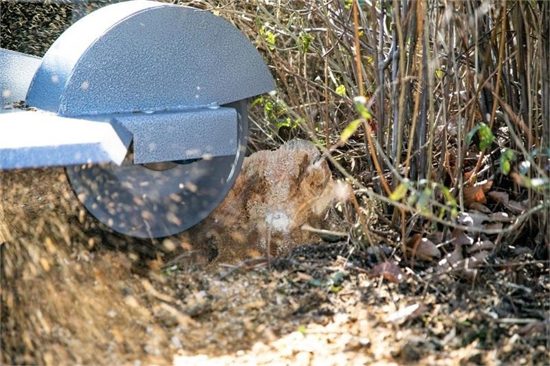 Dk-Tec - Измельчитель пней: фото 5 Dk-Tec - Измельчитель пней: фото 5