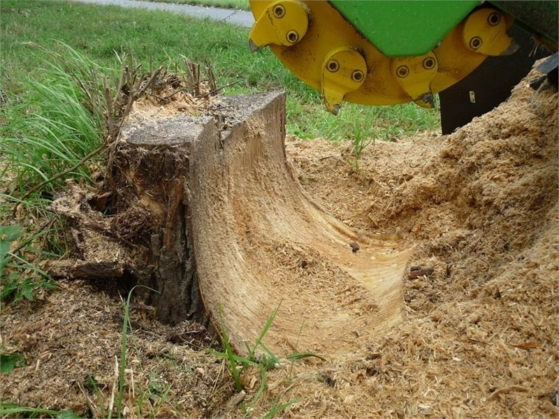 Laski F 500H/38 - Измельчитель пней: фото 5 Laski F 500H/38 - Измельчитель пней: фото 5