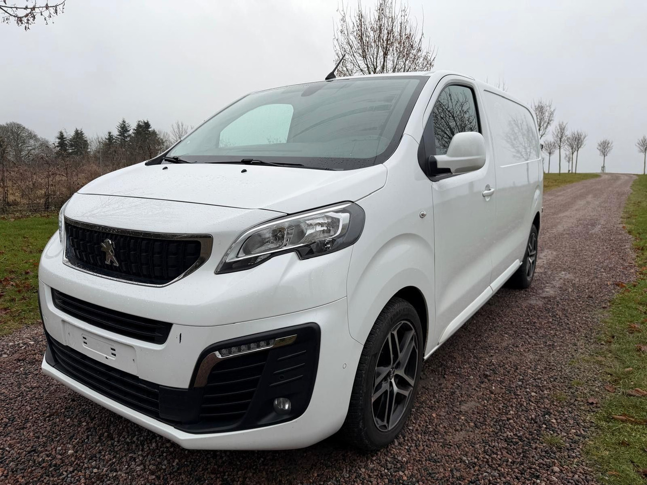 Peugeot Expert Kasten Premium L2 - Легковой фургон: фото 1 Peugeot Expert Kasten Premium L2 - Легковой фургон: фото 1