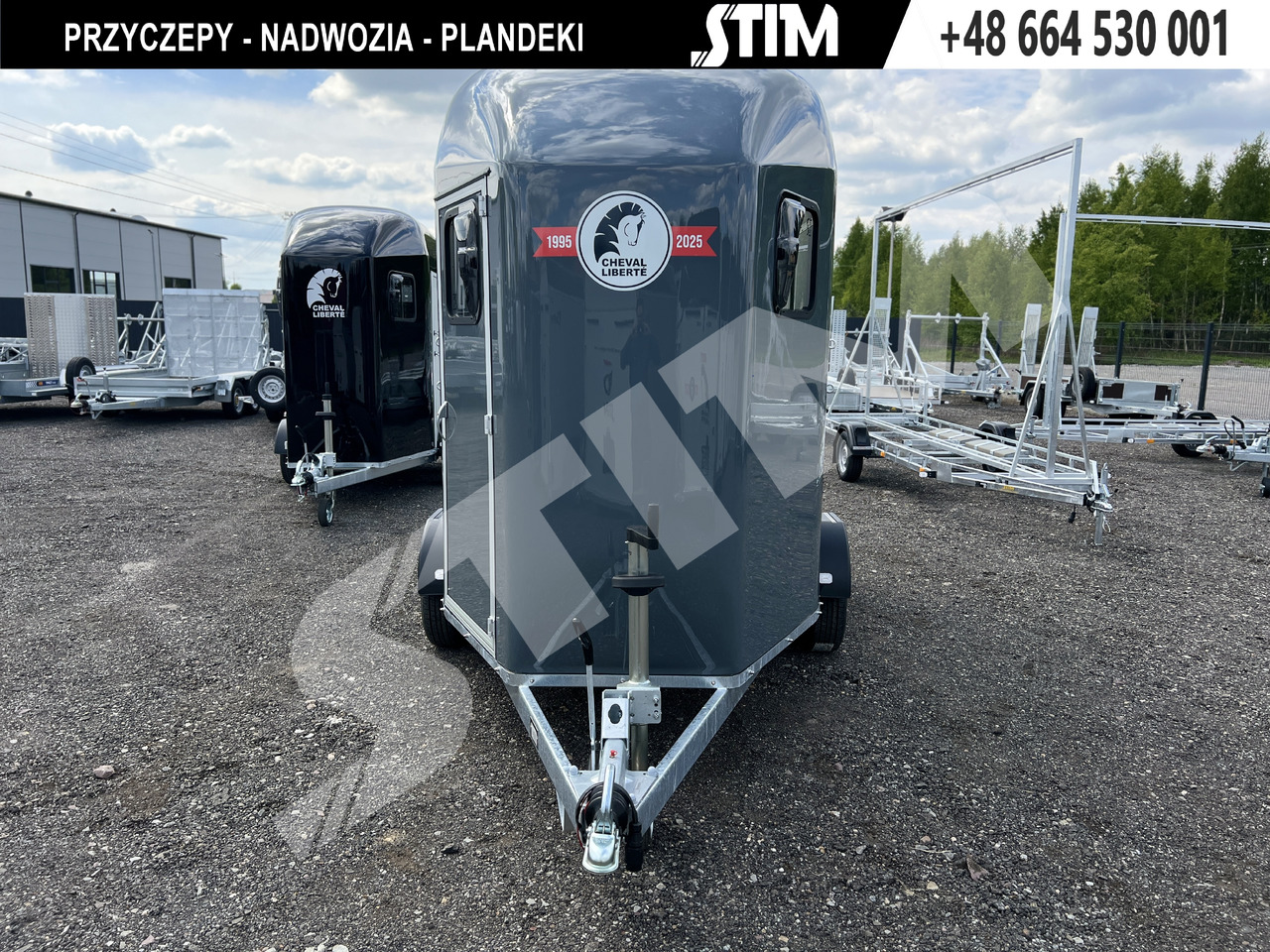 Cheval Liberté GOLD ORIGINS PODŁOGA ALU, BOKI SKLEJKA PPL - Прицеп-коневоз: фото 1 Cheval Liberté GOLD ORIGINS PODŁOGA ALU, BOKI SKLEJKA PPL - Прицеп-коневоз: фото 1