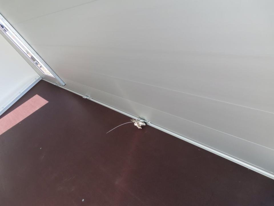 Прицеп-фургон Böckmann KT-PB-AL 3018/27 Kofferanhänger,100 km/h,PKW Anhänger: фото 7 Прицеп-фургон Böckmann KT-PB-AL 3018/27 Kofferanhänger,100 km/h,PKW Anhänger: фото 7