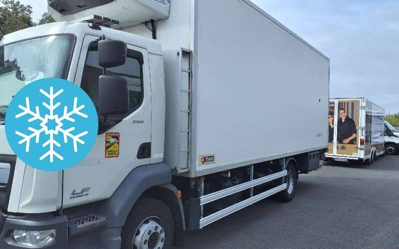 Camion Porteur FRIGO 14 TONNES 250 CV HAYON CARROSSERIE KLEGE MONO TEMP GROUPE CARRIER SUPRA 85 - Рефрижератор: фото 1 Camion Porteur FRIGO 14 TONNES 250 CV HAYON CARROSSERIE KLEGE MONO TEMP GROUPE CARRIER SUPRA 85 - Рефрижератор: фото 1