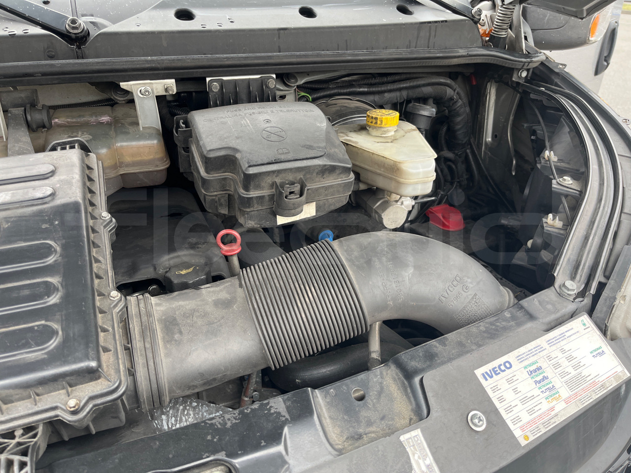 Пригородный автобус Iveco Daily: фото 15