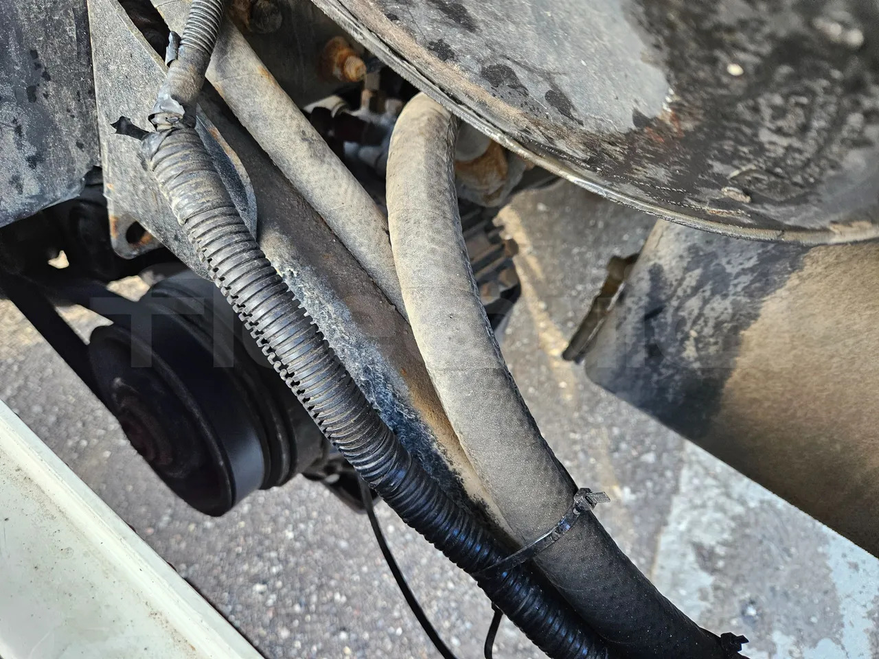 Пригородный автобус Man SCOLER: фото 20