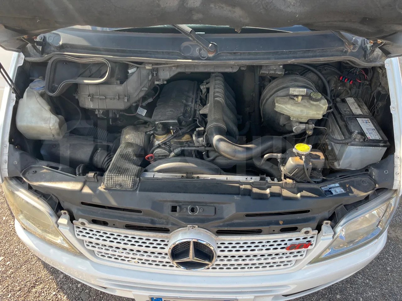 Пригородный автобус Mercedes-Benz Sprinter: фото 20