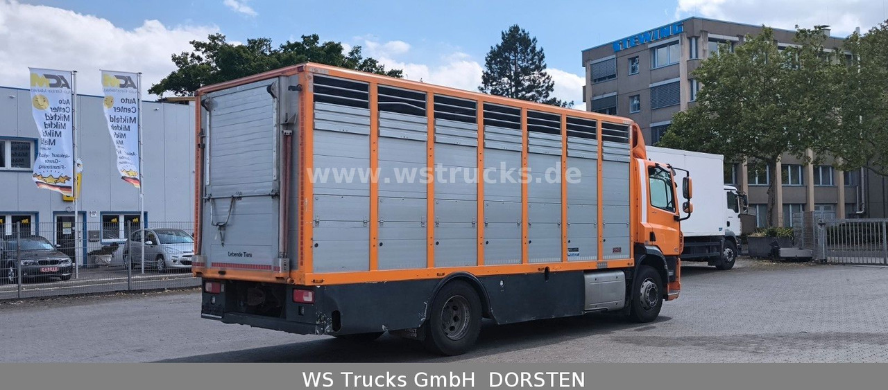DAF CF 400 Menke Einstock Viehtransporter - Коневоз: фото 5 DAF CF 400 Menke Einstock Viehtransporter - Коневоз: фото 5