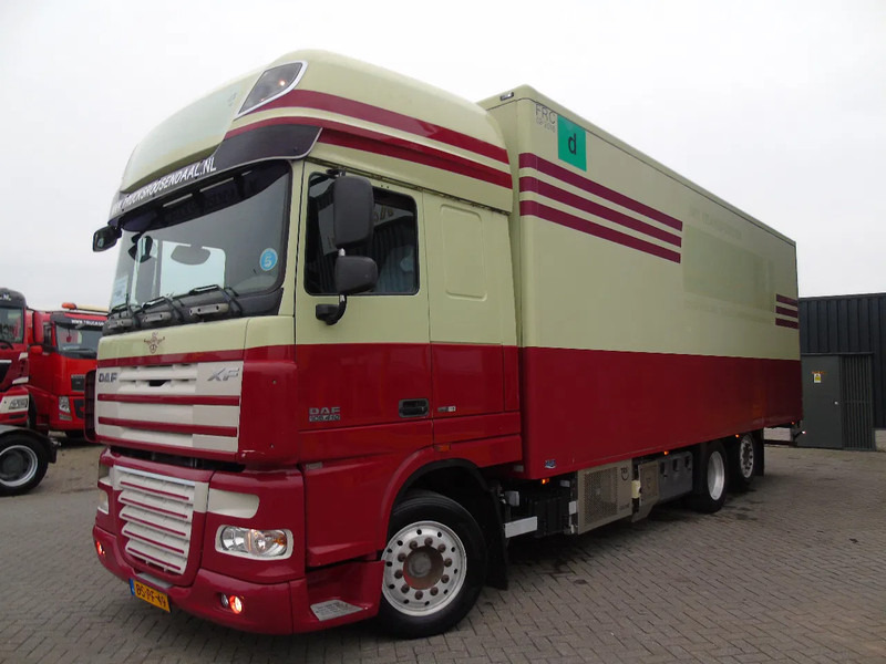 DAF XF 105.410 + 6X2 + EURO 5 - Рефрижератор: фото 3 DAF XF 105.410 + 6X2 + EURO 5 - Рефрижератор: фото 3