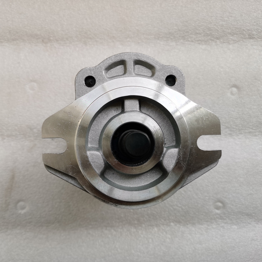 QINGDAO PROMISING Hydraulic Pump CBWA-F318-AT4Φ9 - Гидравлический насос для Колёсных погрузчиков: фото 3 QINGDAO PROMISING Hydraulic Pump CBWA-F318-AT4Φ9 - Гидравлический насос для Колёсных погрузчиков: фото 3