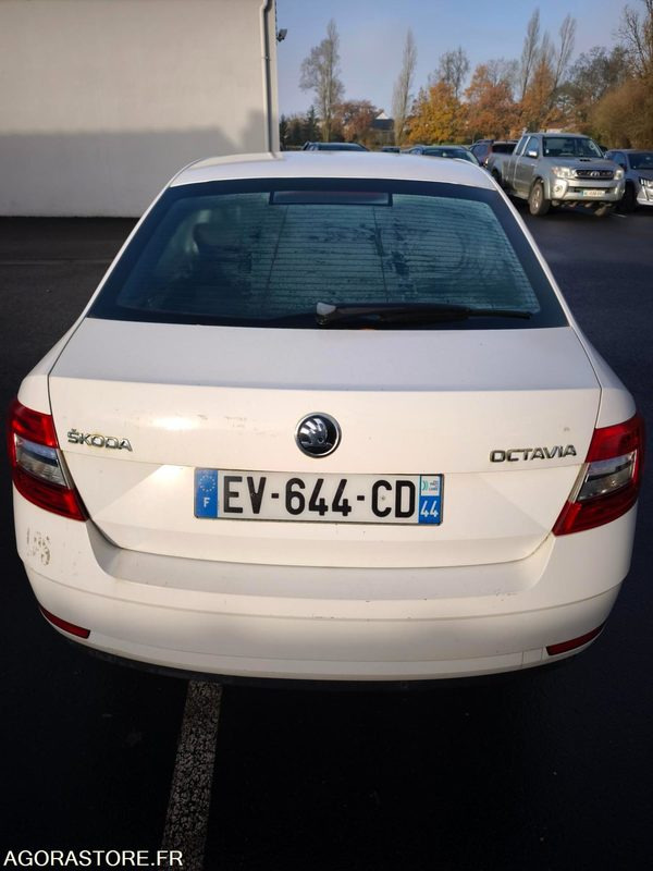 EV-644-CD - Non Roulant - SKODA OCTAVIA - VP - 339 260 Kms - Легковой автомобиль: фото 4 EV-644-CD - Non Roulant - SKODA OCTAVIA - VP - 339 260 Kms - Легковой автомобиль: фото 4