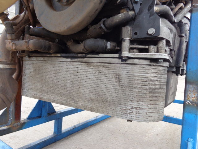 MAN (WORLDWIDE DELIVERY) - Радиатор для Грузовиков: фото 1 MAN (WORLDWIDE DELIVERY) - Радиатор для Грузовиков: фото 1